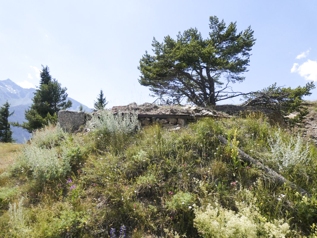 Ligne Maginot - SAPEY (OBSERVATOIRE INDéTERMINé) - (Observatoire indeterminé) -  - ELLENA - CUNY