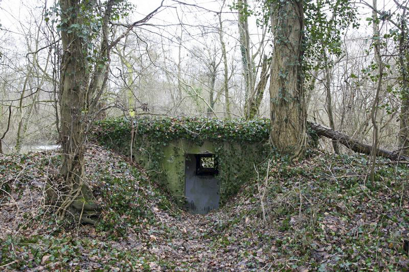 Ligne Maginot - Blockhaus Bernhohlkoepfel 1 -  - GRUBER Franck