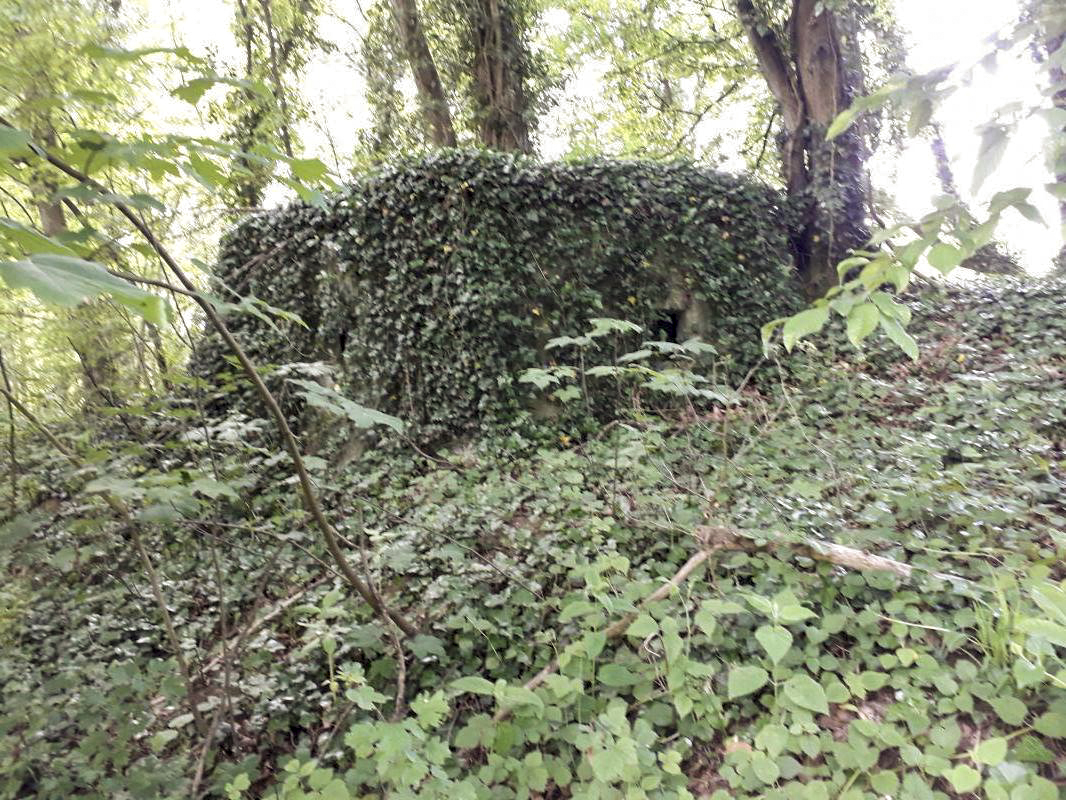 Ligne Maginot - BERNHOHLKOEPFEL 1 - (Blockhaus pour arme infanterie) -  - Arthur