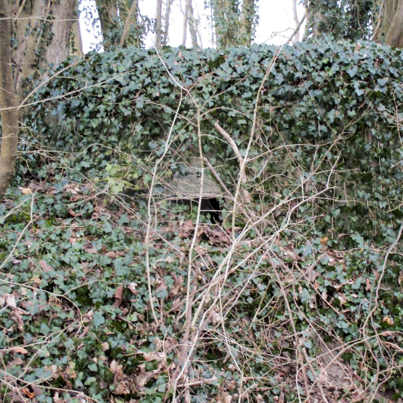 Ligne Maginot - BERNHOHLKOEPFEL 1 - (Blockhaus pour arme infanterie) - Créneau de droite - Arthur