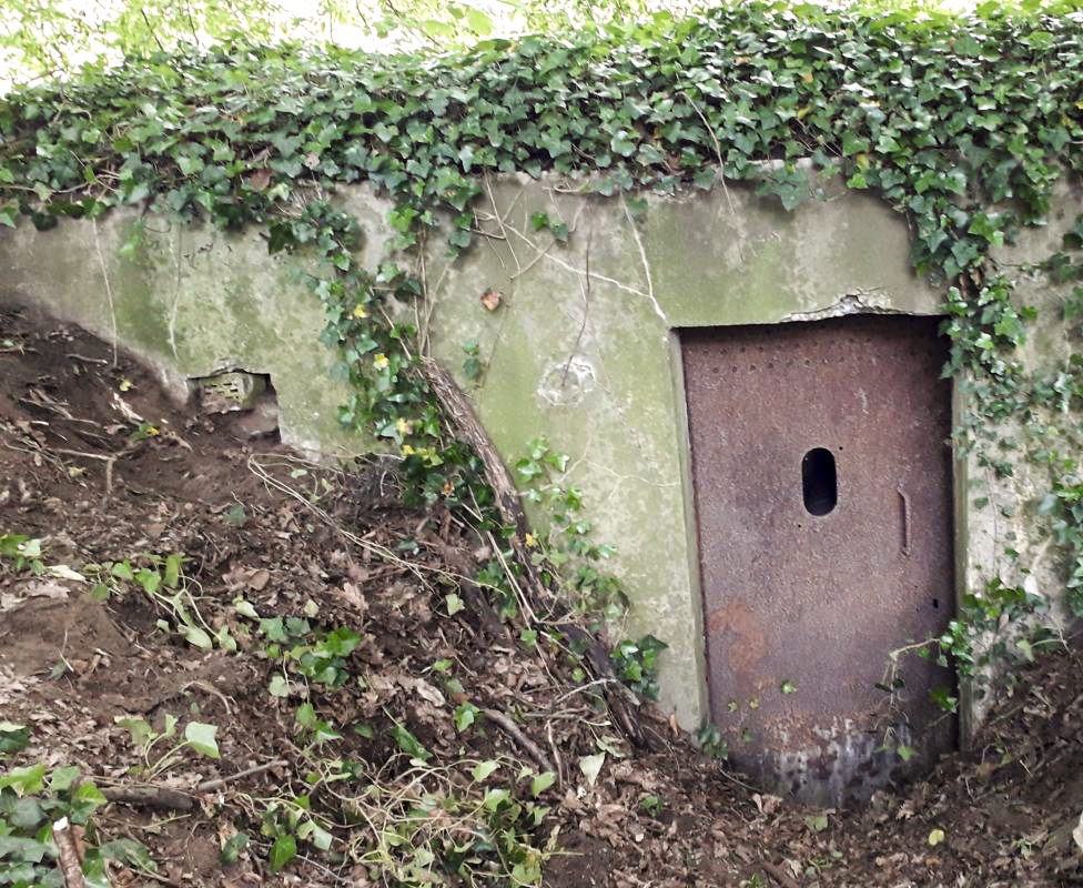 Ligne Maginot - BERNHOHLKOEPFEL 1 - (Blockhaus pour arme infanterie) -  - Arthur