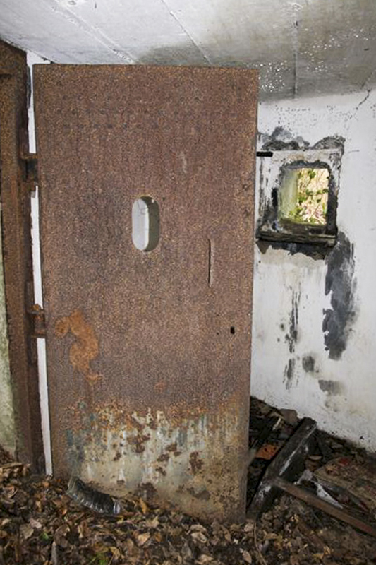 Ligne Maginot - Blockhaus Bernhohlkoepfel -  - GRUBER Franck