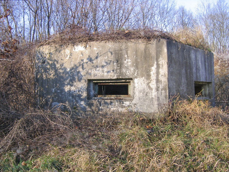 Ligne Maginot - EICHELFELD 1 - (Blockhaus pour arme infanterie) - Vue générale extérieure - Les Gardiens du Rhin