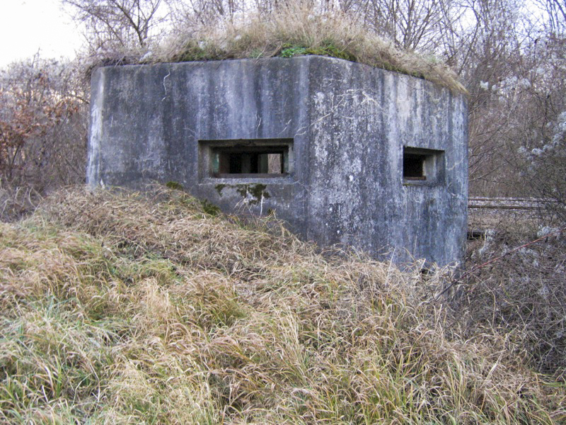 Ligne Maginot - EICHELFELD 1 - (Blockhaus pour arme infanterie) - Vue générale extérieure - Les Gardiens du Rhin