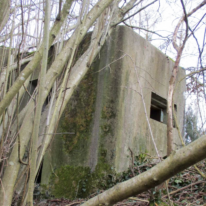 Ligne Maginot - EICHELFELD 1 - (Blockhaus pour arme infanterie) -  - Arthur