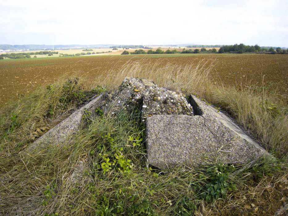 Ligne Maginot - Vue sur l emplacement de l obsevatoire -  - Pruzsina Jerome