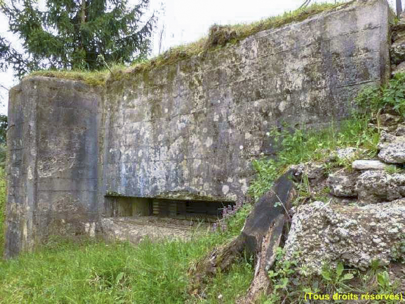 Ligne Maginot - F57 - LES TAVERNETTES - HS113 - (Blockhaus pour canon) -  - Inconnu