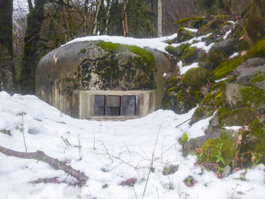 Ligne Maginot - F103 - NANT DEBOUT - HS122 - (Blockhaus pour arme infanterie) -  - François VILLARS