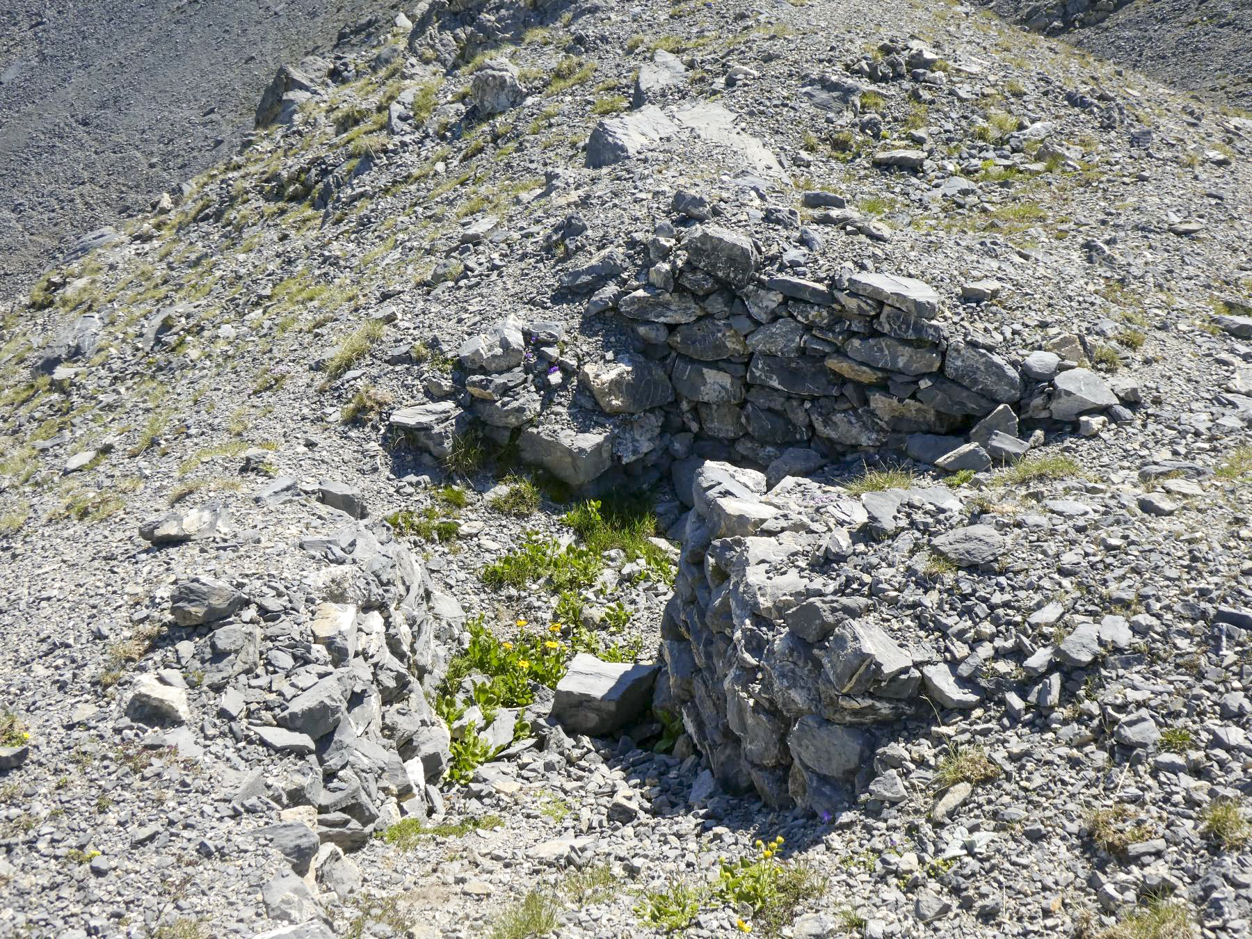 Ligne Maginot - COL DE CROUSETTE - (Divers) - Cuve 1 - ELLENA - CUNY