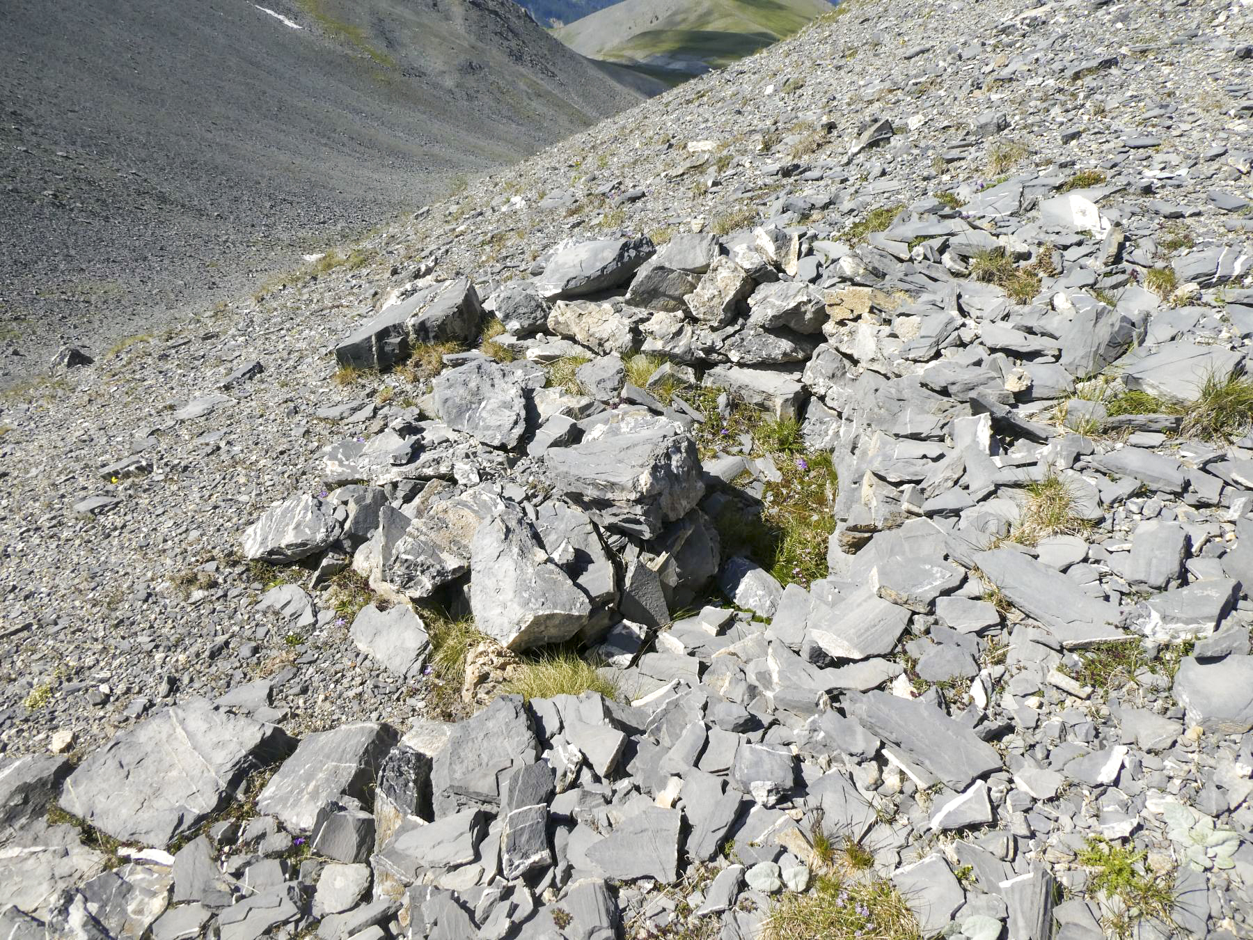 Ligne Maginot - COL DE CROUSETTE - (Divers) - Cuve 4 - ELLENA - CUNY