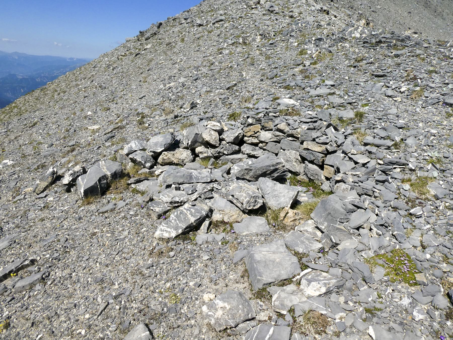 Ligne Maginot - COL DE CROUSETTE - (Divers) - Cuve 4 - ELLENA - CUNY