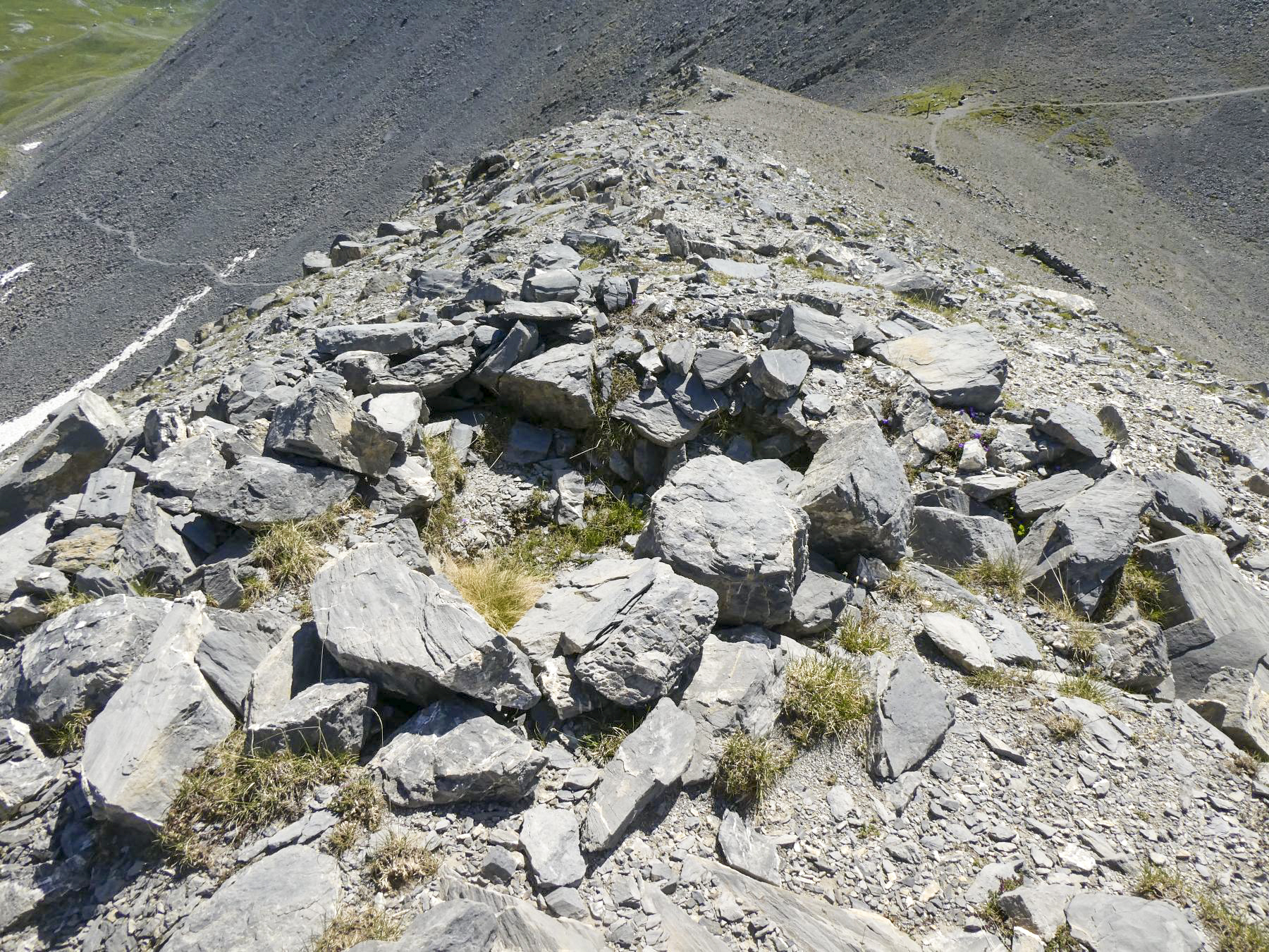 Ligne Maginot - COL DE CROUSETTE - (Divers) - Cuve 5 - ELLENA - CUNY