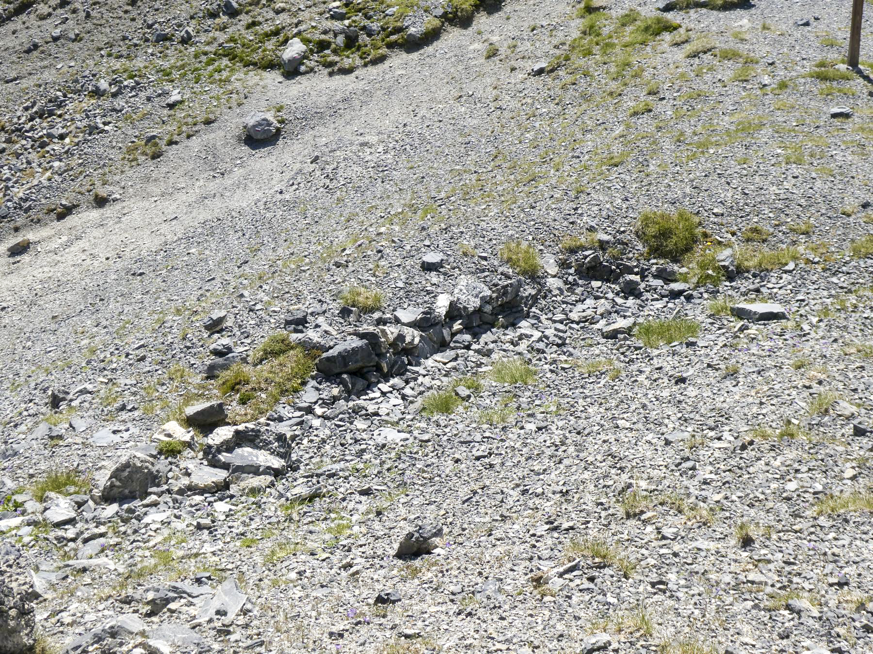 Ligne Maginot - COL DE CROUSETTE - (Divers) - Cuve 6 - ELLENA - CUNY