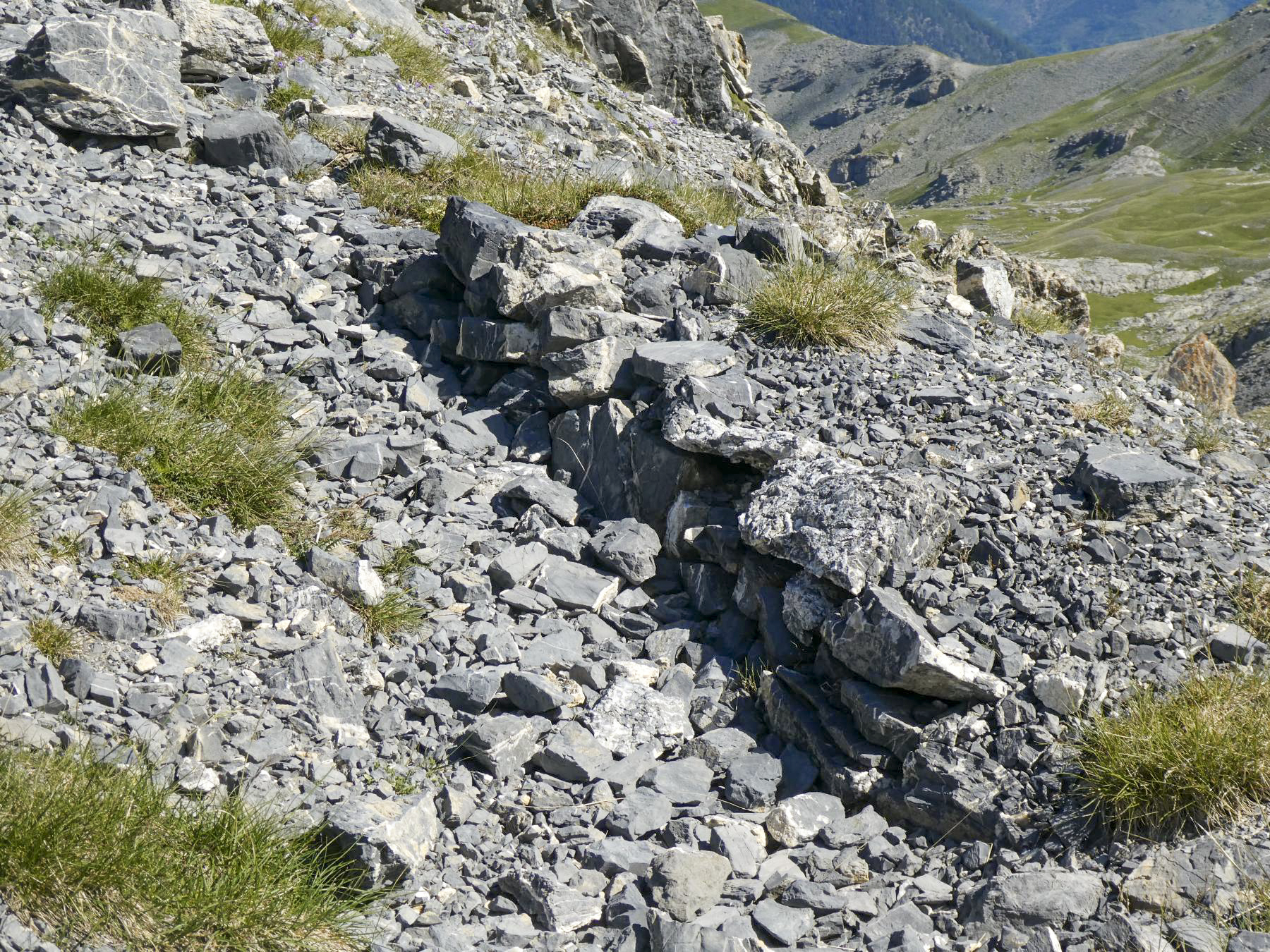 Ligne Maginot - COL DE CROUSETTE - (Divers) - Cuve 6 - ELLENA - CUNY