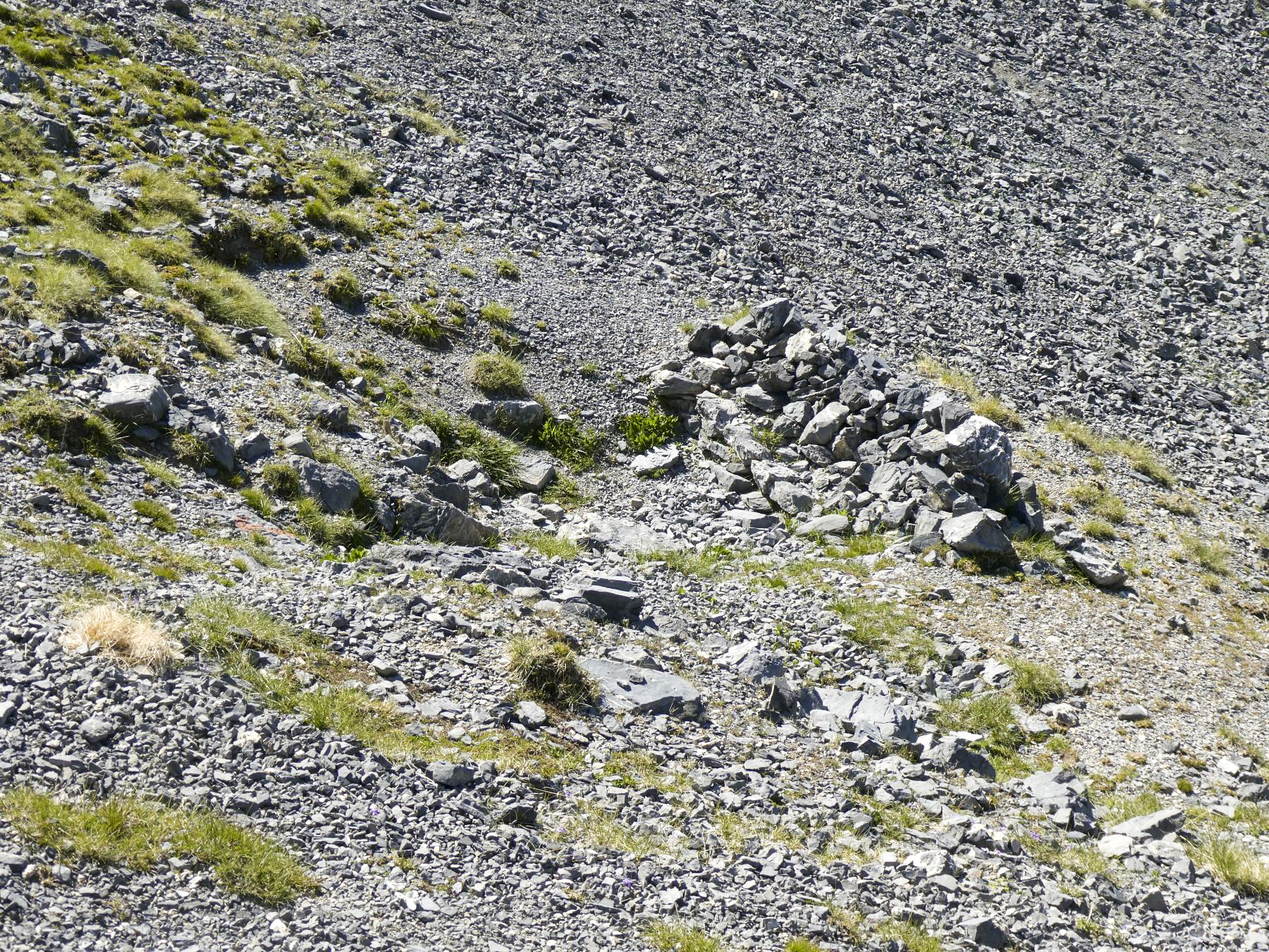 Ligne Maginot - COL DE CROUSETTE - (Divers) - Cuve 7 - ELLENA - CUNY