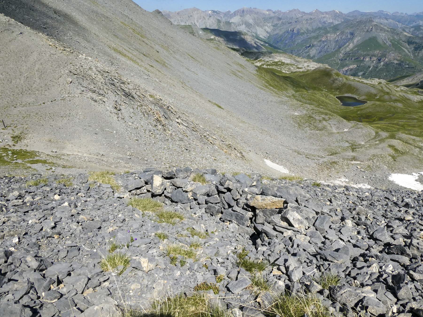 Ligne Maginot - COL DE CROUSETTE - (Divers) - Cuve 8 - ELLENA - CUNY