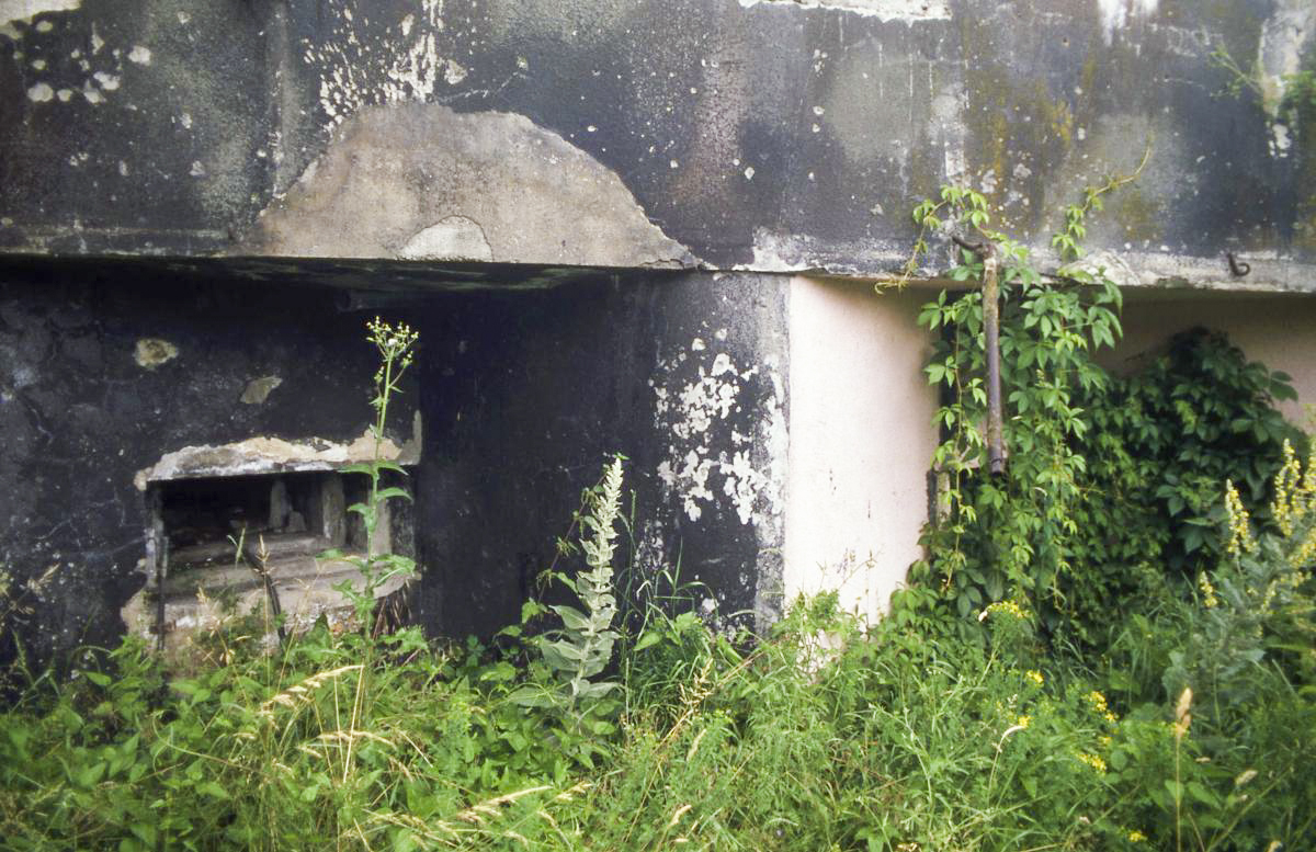 Ligne Maginot - 44/3 - ALGOLSHEIM NORD - (Casemate d'infanterie - Double) - La casemate en 1999 - Valentin Hemmert