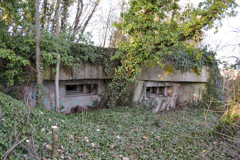 Ligne Maginot - Blockhaus des Cerisiers - EST - Les deux créneaux pour mitrailleuses coté sud - PAVEL Jan