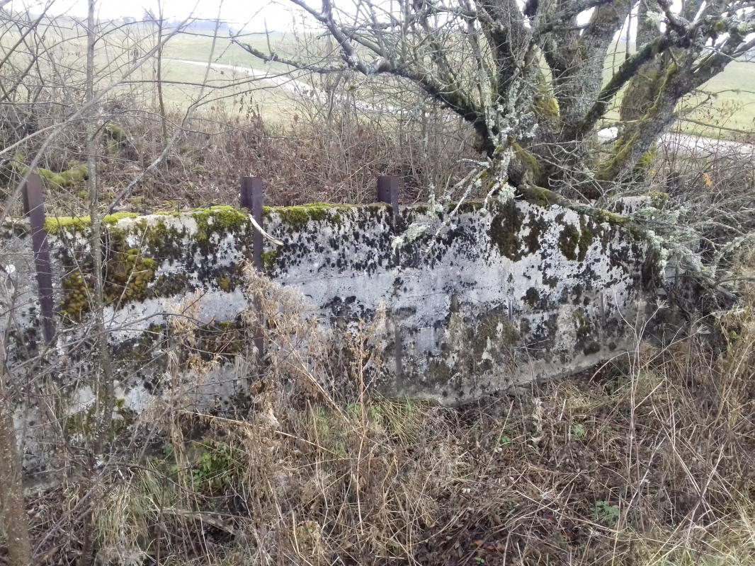 Ligne Maginot - B41 - FRANOIS - (Casemate d'infanterie - Double) - Fossé antichar - Bob