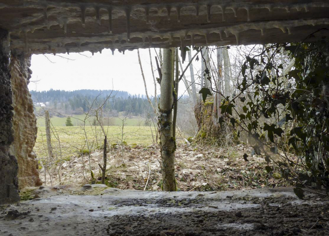 Ligne Maginot - LES CHAZEAUX EST - (Blockhaus de type indeterminé) -  - François VILLARS