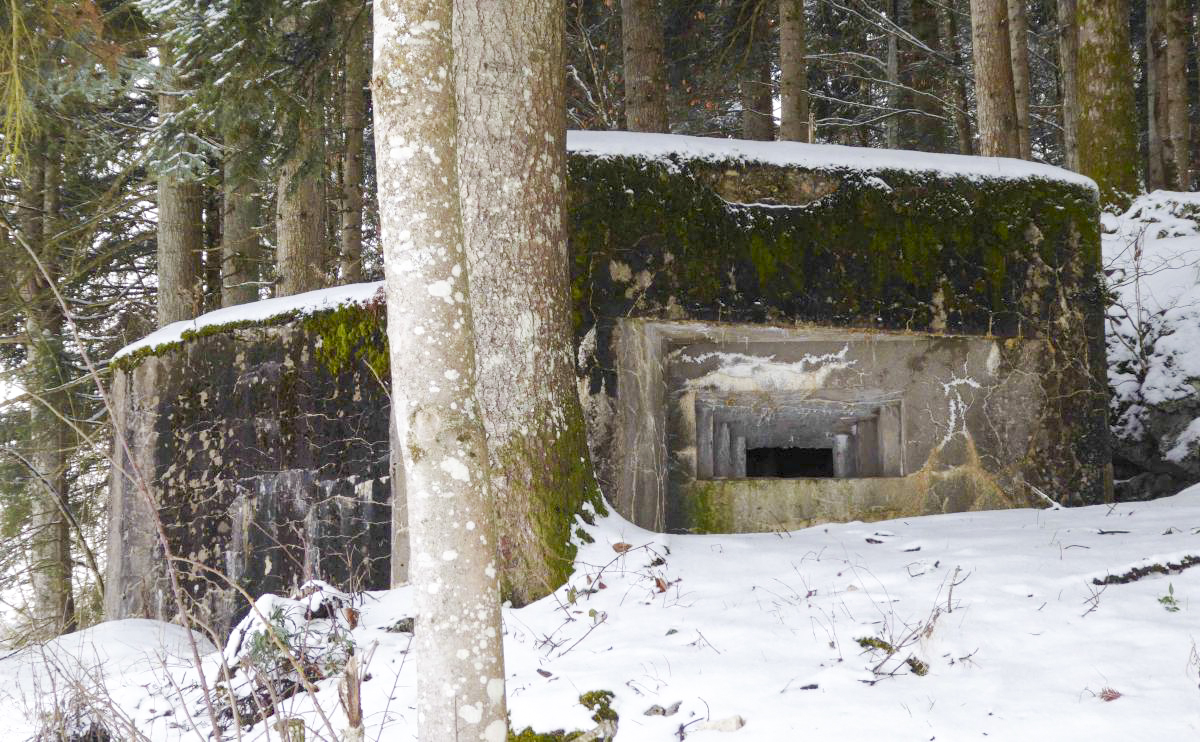 Ligne Maginot - LES CHAZEAUX OUEST - (Blockhaus pour arme infanterie) -  - François VILLARS
