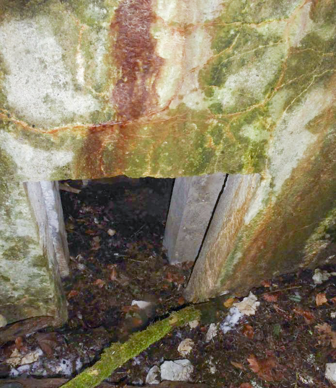 Ligne Maginot - LES CHAZEAUX OUEST - (Blockhaus pour arme infanterie) -  - François VILLARS