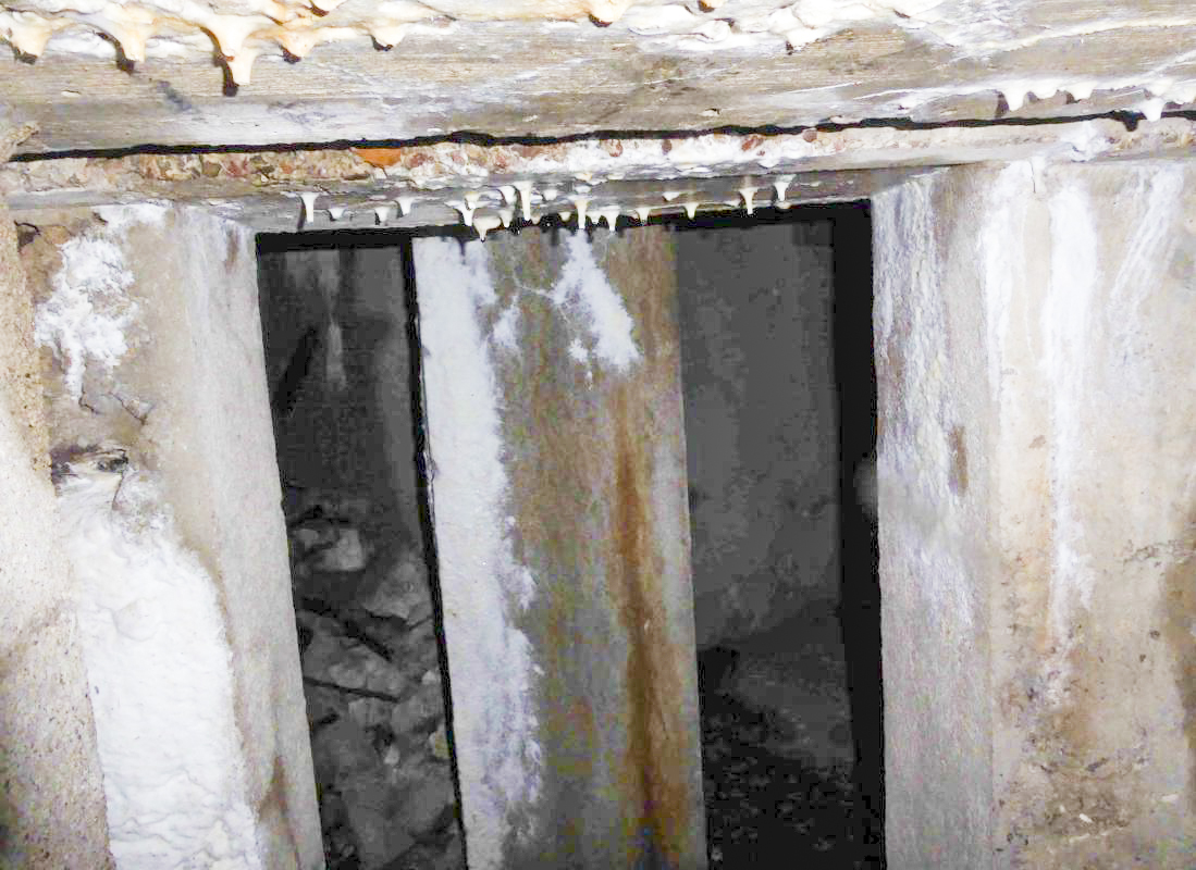 Ligne Maginot - LES CHAZEAUX OUEST - (Blockhaus pour arme infanterie) -  - François VILLARS