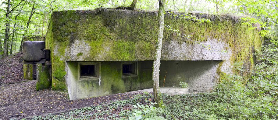 Ligne Maginot - BOIS de KANFEN Est - C43 (Casemate d'infanterie) -  - PAVEL Jan