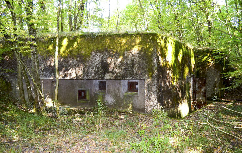 Ligne Maginot - BOIS DE KANFEN OUEST - C42 - (Casemate d'infanterie - Simple) -  - ukmaginot