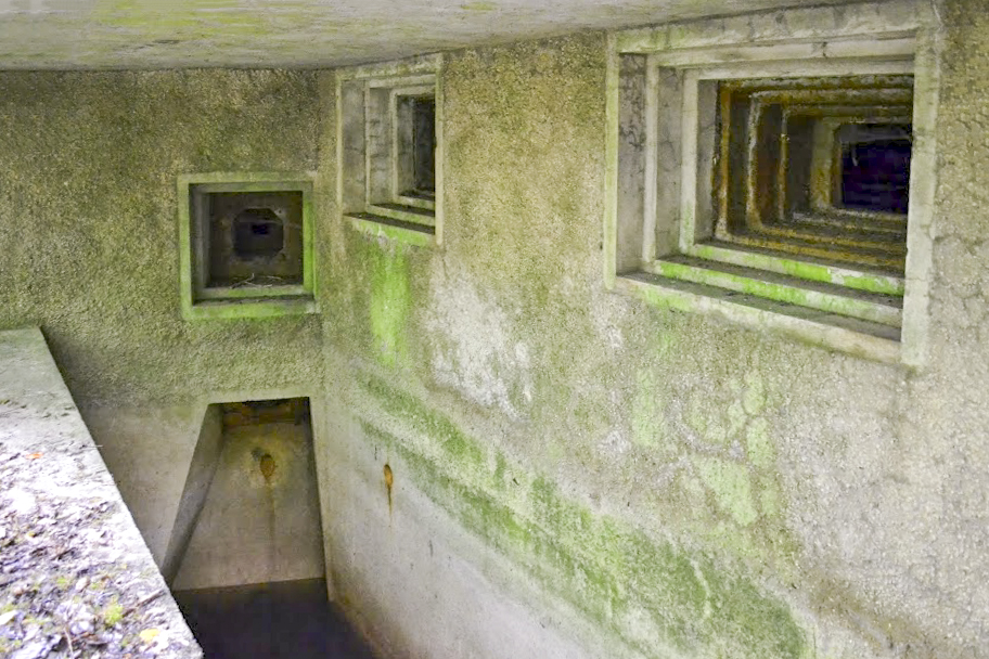 Ligne Maginot - BOIS DE KANFEN OUEST - C42 - (Casemate d'infanterie - Simple) -  - PAVEL Jan