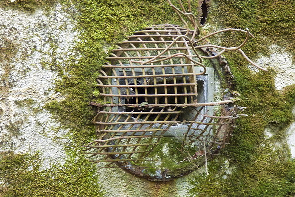 Ligne Maginot - BOIS DE KANFEN OUEST - C42 - (Casemate d'infanterie - Simple) - Prise d'air extérieure.
Noter la faible protection assurée par une simple grille  - Sylvie Laure LAMBERT