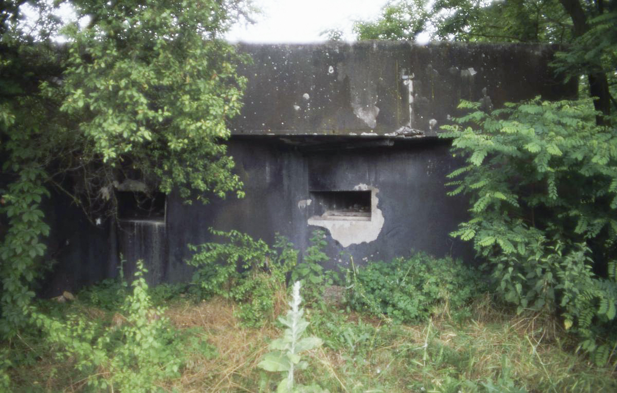 Ligne Maginot - 44/3 - ALGOLSHEIM NORD - (Casemate d'infanterie - Double) - La casemate en 1999 - Valentin Hemmert