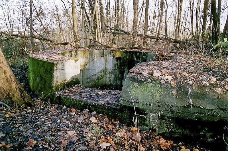 Ligne Maginot - OUVRAGE NEY-RAPP - (Position d'artillerie préparée) - Bloc nord
La cuve pour canon de 10 cm KiSL qui flanquait le Rhin au nord de Strasbourg, vers le sous-secteur de Herrlisheim - Antoine Schoen