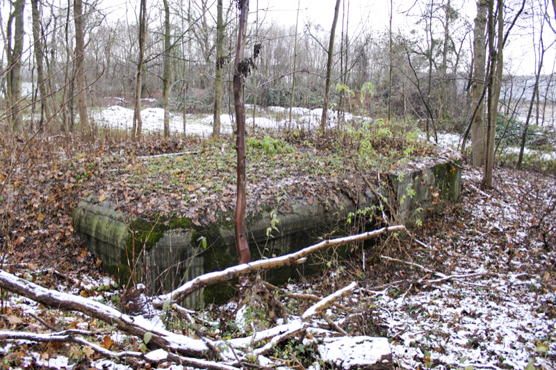 Ligne Maginot - OUVRAGE NEY-RAPP - (Position d'artillerie préparée) - Bloc nord
Encore bien visible malgré le remblaiement de la cuve et de la tranchée couverte  - Antoine Schoen