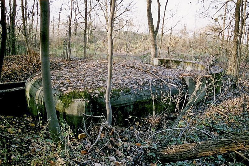 Ligne Maginot - OUVRAGE NEY-RAPP - (Position d'artillerie préparée) - Bloc nord
Vue d'ensemble avec la soute à munitions en arrière de la cuve - Antoine Schoen