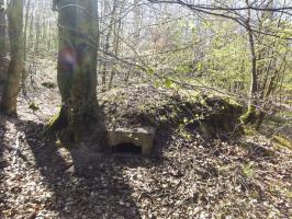 Ligne Maginot - SCHMELTZBACH 5 - (Blockhaus pour arme infanterie) - 