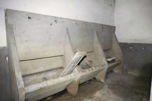 Ligne Maginot - HOFFEN - (Abri) - Lavabos
(PC)