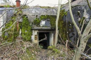 Ligne Maginot - BOIS DE RITTERSHOFFEN 6 - (Casemate d'infanterie - Simple) - L'entrée en partie merlonnée