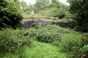 Ligne Maginot - KAUFFENHEIM (Casemate d'infanterie) - La casemate de Kauffenheim envahie par la végétation au début des années 2000