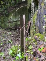 Ligne Maginot - KUBELMUEHLE 1 (AVANT POSTE) - (Blockhaus pour canon) - Reste de réseau des barbelés devant l'entrée
