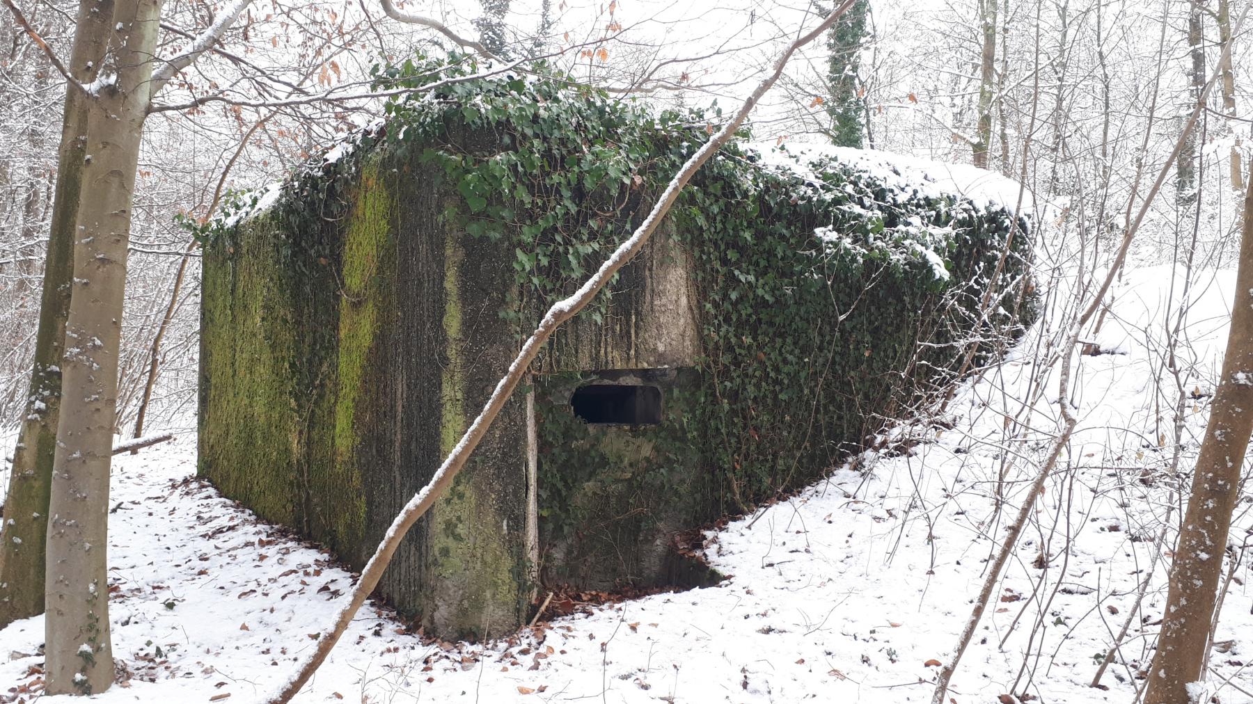 Ligne Maginot - HAUTE DIGUE 7 - (Blockhaus pour arme infanterie) - Créneau mitrailleuse nord - Les Gardiens du Rhin