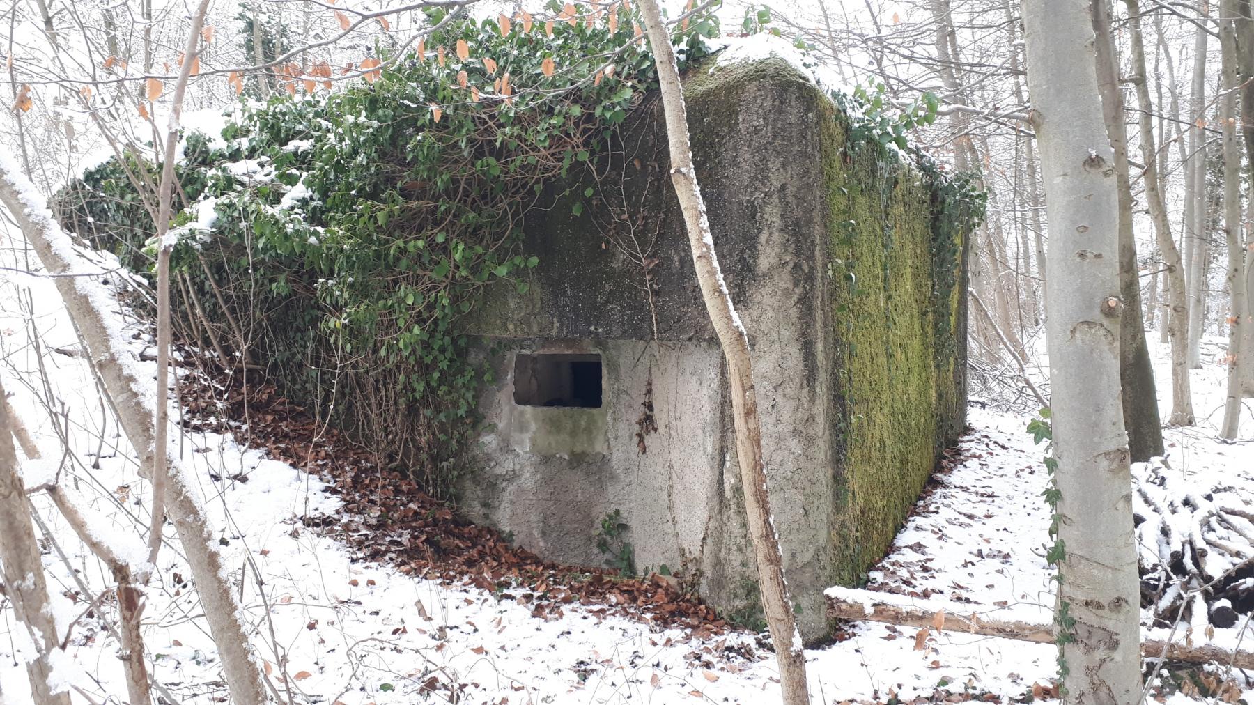 Ligne Maginot - HAUTE DIGUE 7 - (Blockhaus pour arme infanterie) - Créneau mitrailleuse sud - Les Gardiens du Rhin