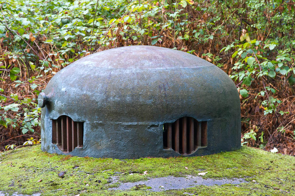 Ligne Maginot - LE CHESNOIS - CHENOIS - (Ouvrage d'artillerie) - Entrée mixte
Vue de l'une des cloches modifiées pour l'évacuation des gaz de l'usine de l'ouvrage - Michel Teiten
