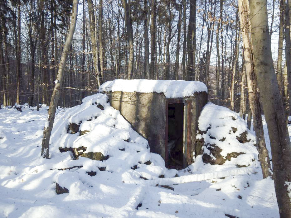 Ligne Maginot - M11 - NONNENHARDT EST 1 - (Blockhaus pour arme infanterie) -  - donceuh