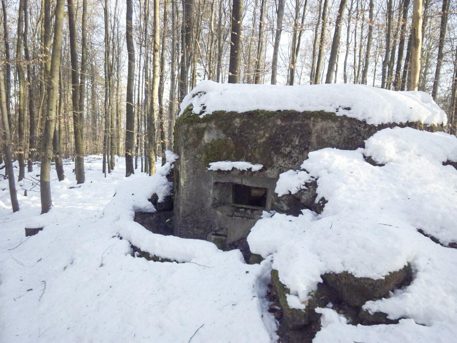 Ligne Maginot - M11 - NONNENHARDT EST 1 - (Blockhaus pour arme infanterie) -  - donceuh