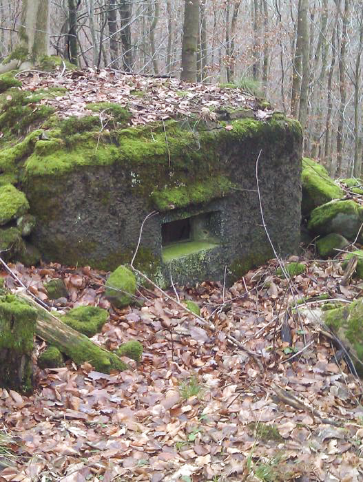 Ligne Maginot - M9 - TRAUTBACH 1 - (Blockhaus pour arme infanterie) - Le créneau pour mitrailleuse - donceuh