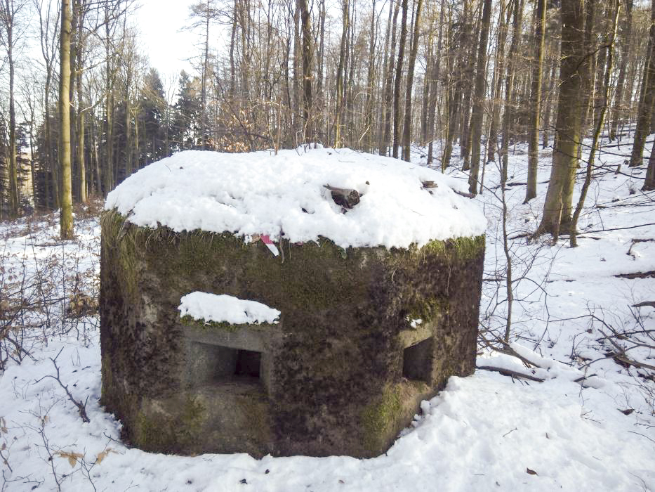 Ligne Maginot - FM30 - NONNENHARDT EST 2 - (Blockhaus pour arme infanterie) -  - donceuh
