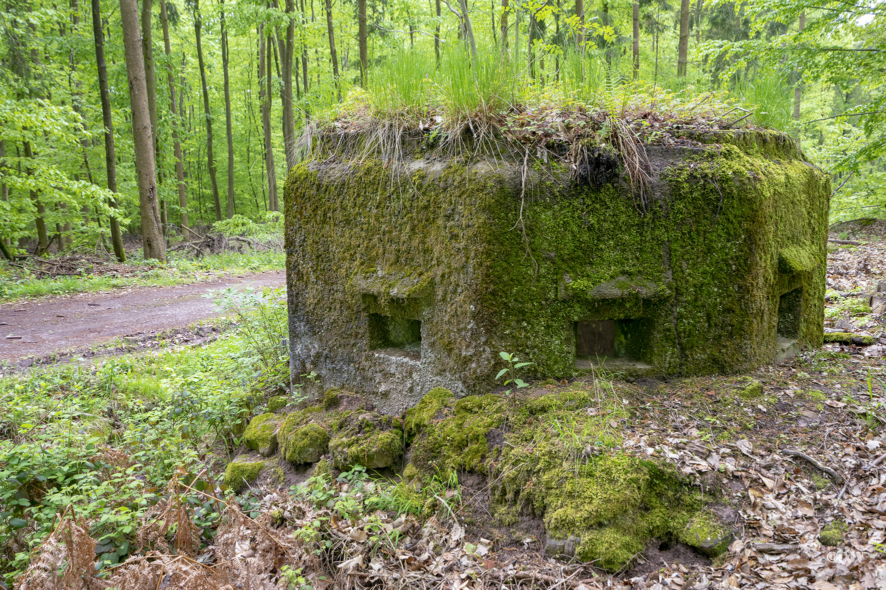 Ligne Maginot - FM48 - NONNENHARDT EST 5 - (Blockhaus pour arme infanterie) - Les trois créneaux frontaux - Lia VERMEULEN