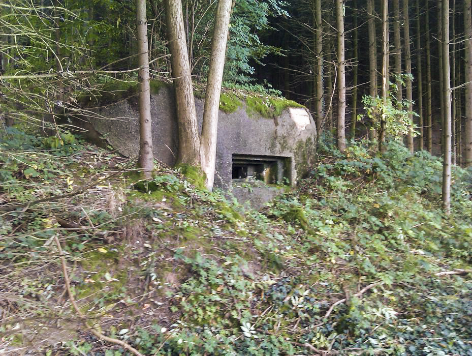 Ligne Maginot - PFAFFENBRONN 3 - (Blockhaus pour arme infanterie) - Le créneau pour mitrailleuse - donceuh