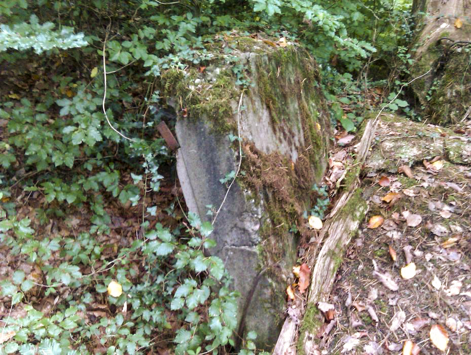 Ligne Maginot - PFAFFENBRONN 4 - (Blockhaus pour arme infanterie) -  - donceuh